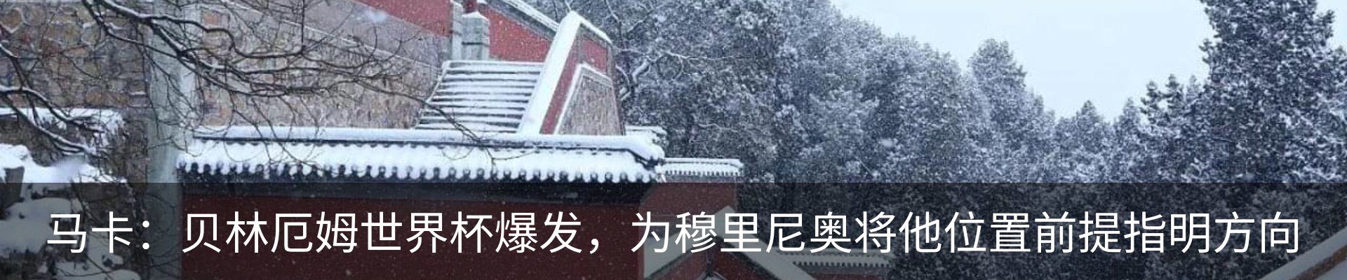最新动态